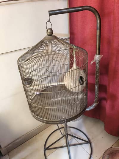 sale parrots cage
