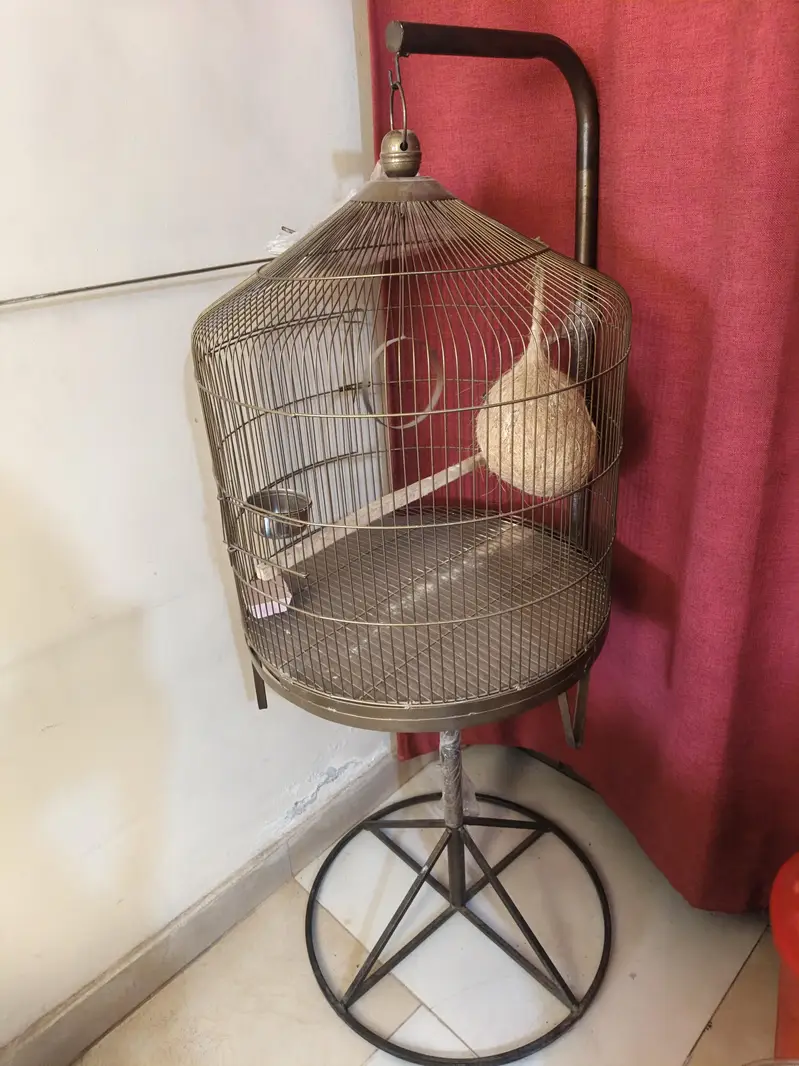sale parrots cage — photo 2