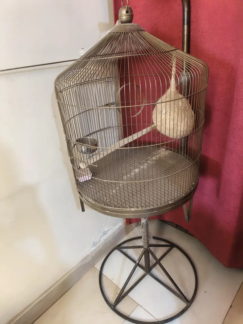 sale parrots cage — photo 3