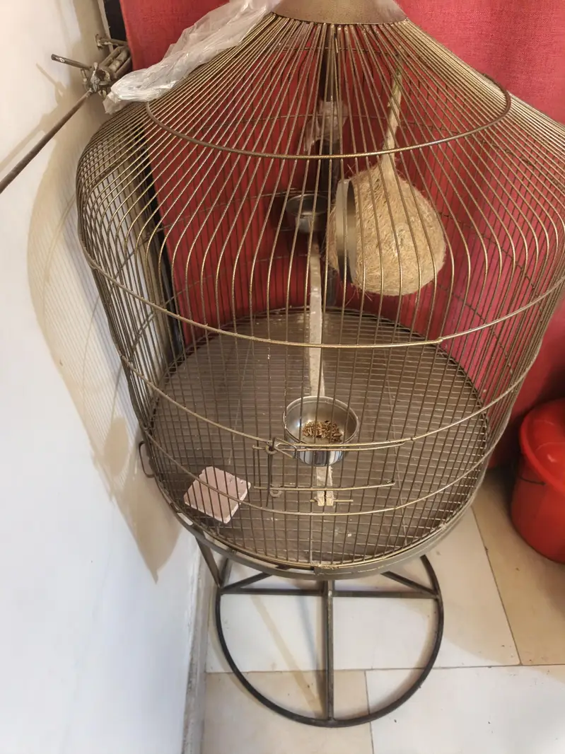 sale parrots cage — photo 4