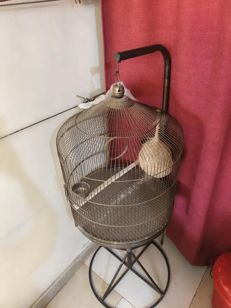 sale parrots cage — photo 5