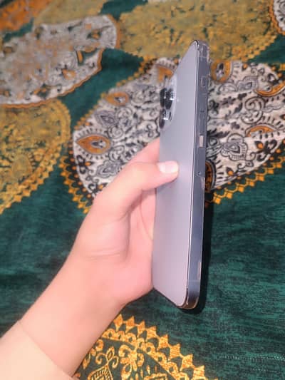 Apple iPhone 13 Pro Max