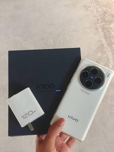 Vivo X100