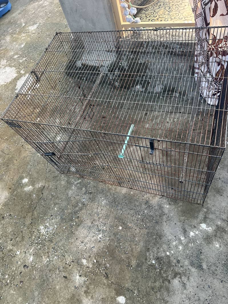 Parrots cage 0