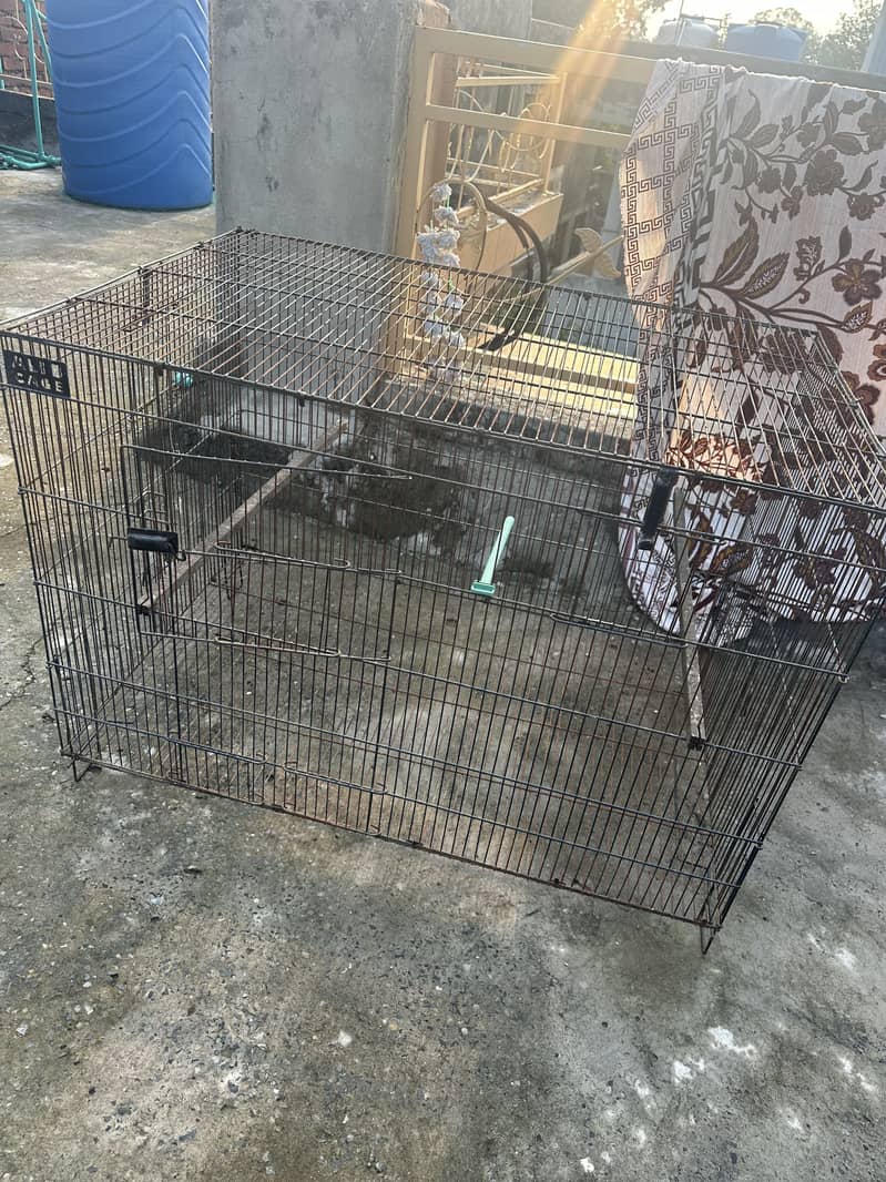 Parrots cage 2