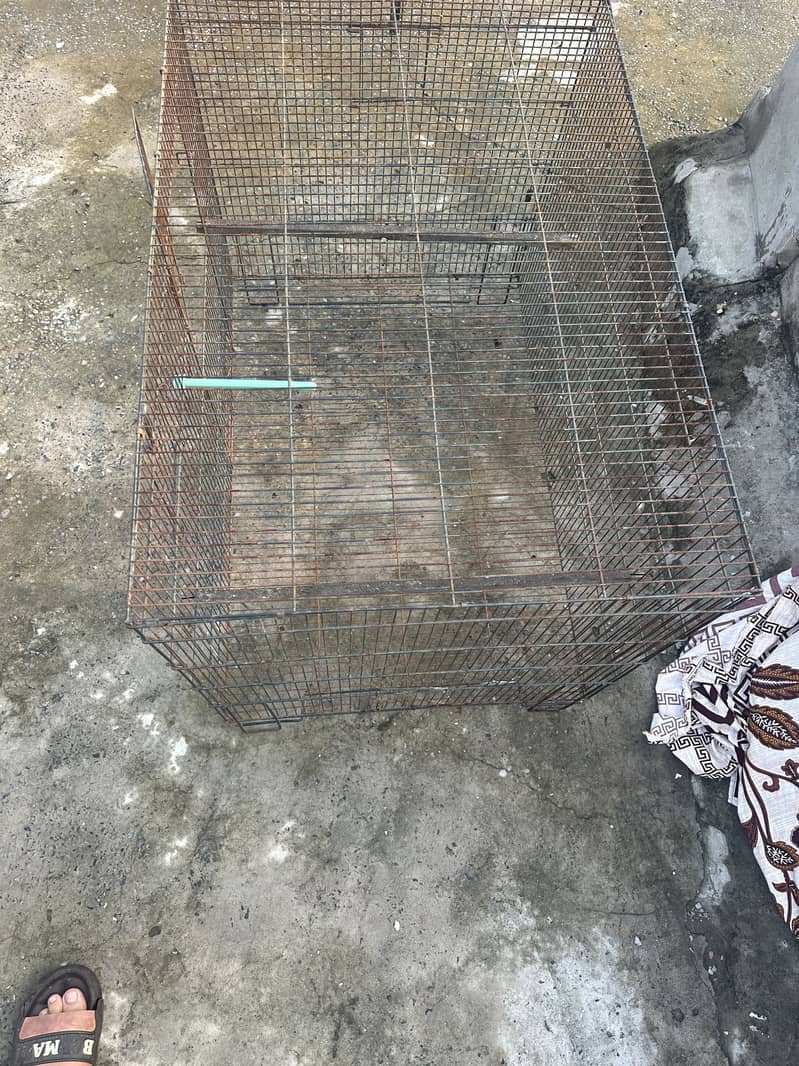 Parrots cage 3