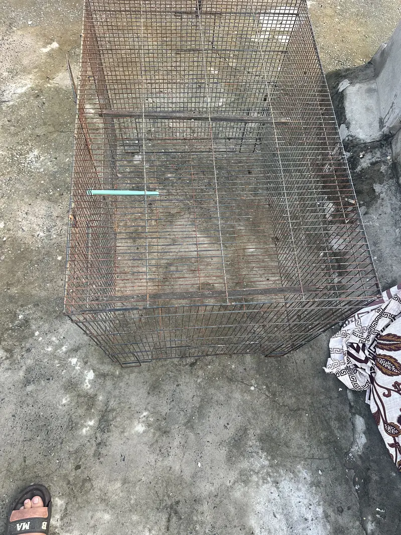 Parrots cage — photo 4