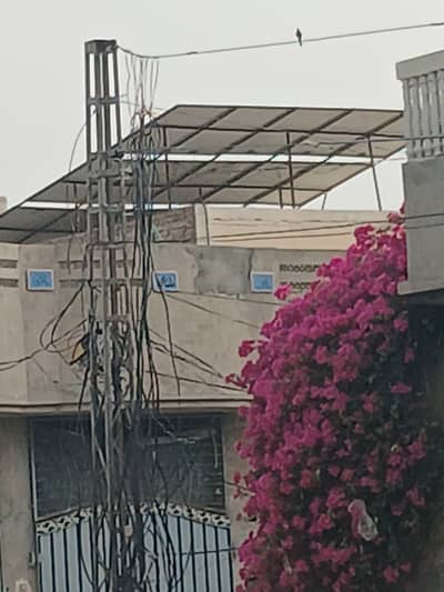 320 Watt Jinko Solar panels for sale16