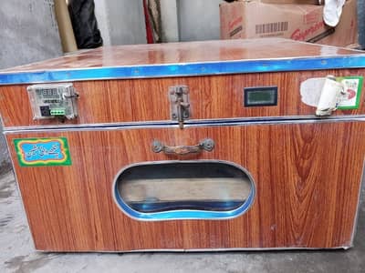 Eggs Incubator and Brooder For Sale