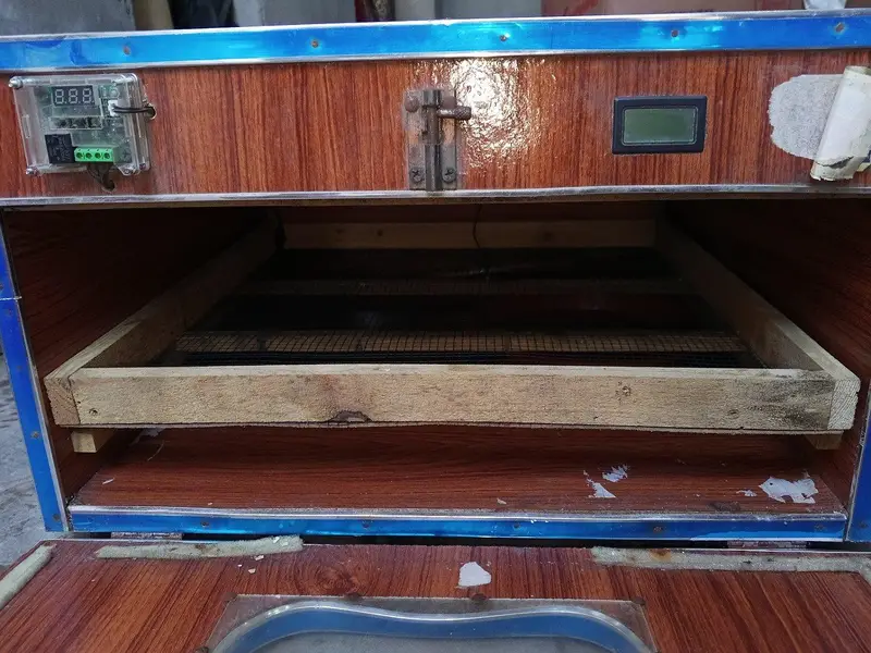 Eggs Incubator and Brooder For Sale — photo 3