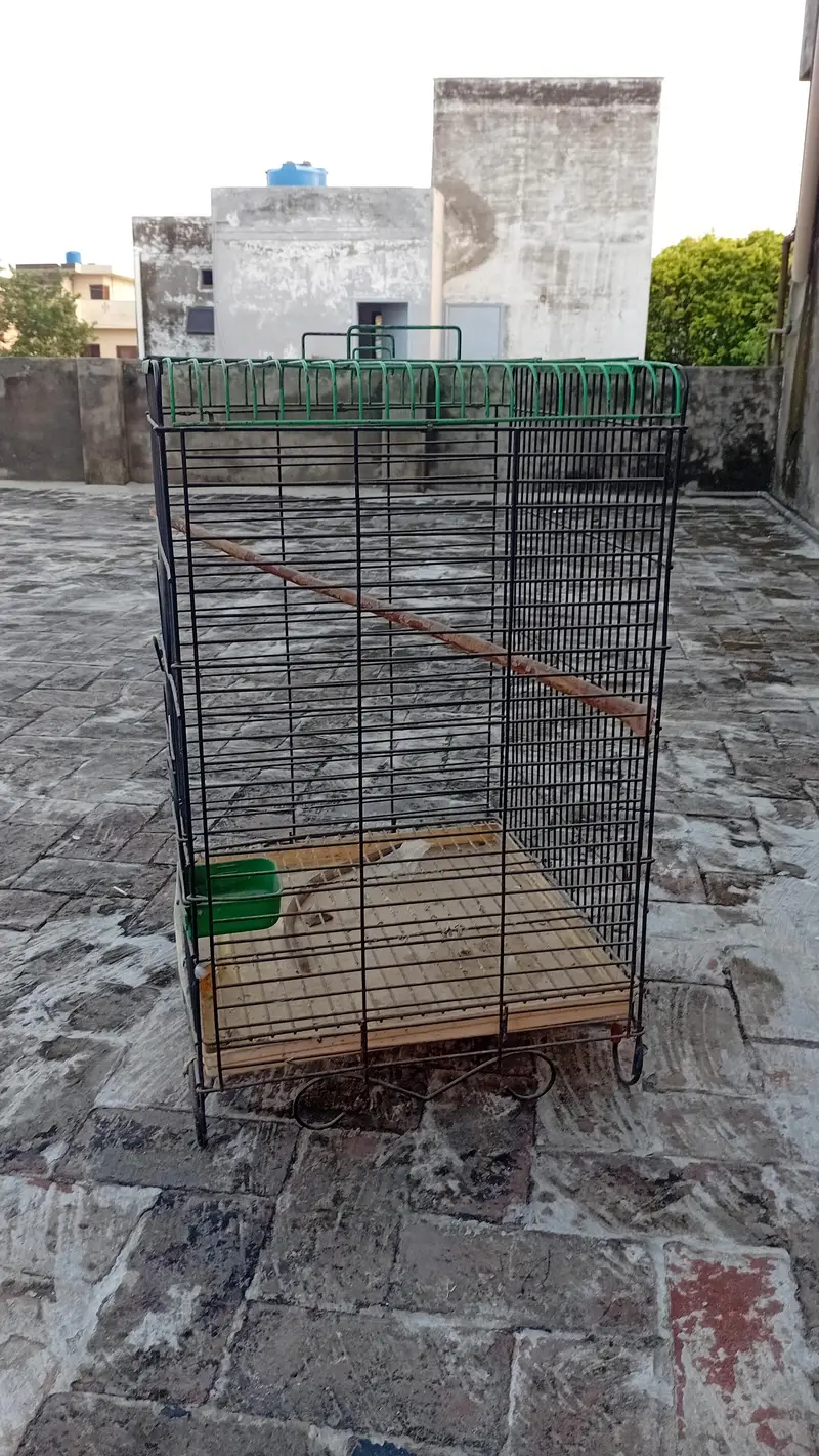 slightly used cage — photo 3