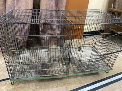 folding nahi cage