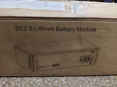 Dyness Dl 2.5 24v 100 Ah