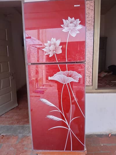 Orient fridge