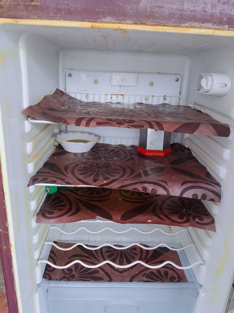 Orient fridge 2