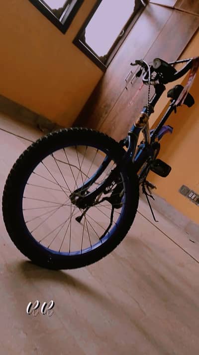 new cycle h