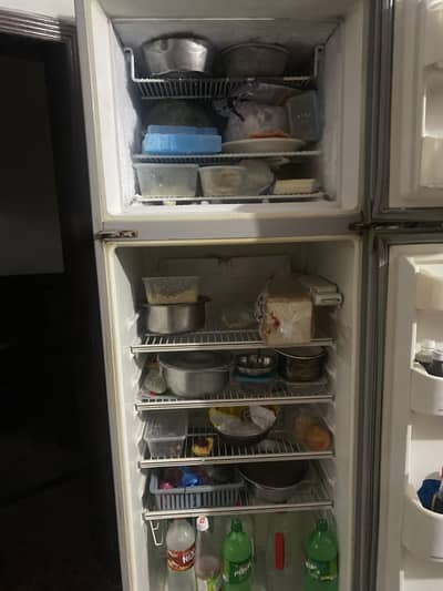 Fridge for Sale