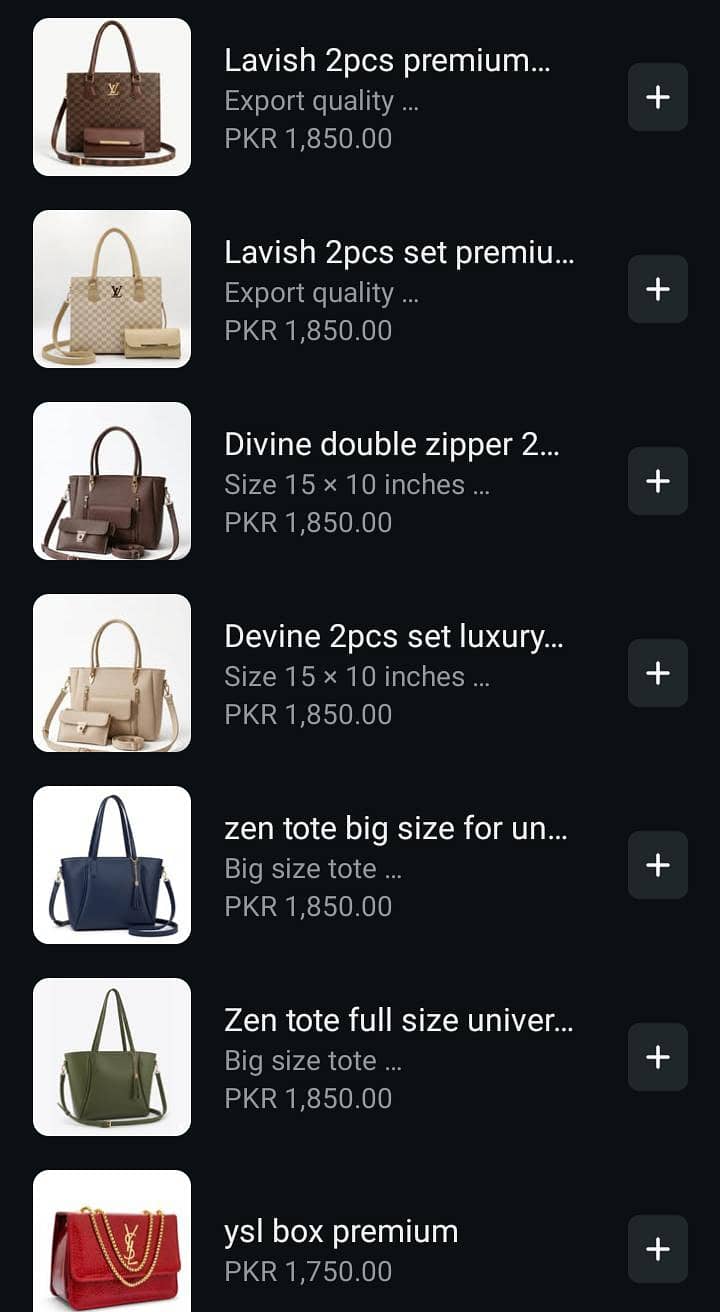 Hands bag 4