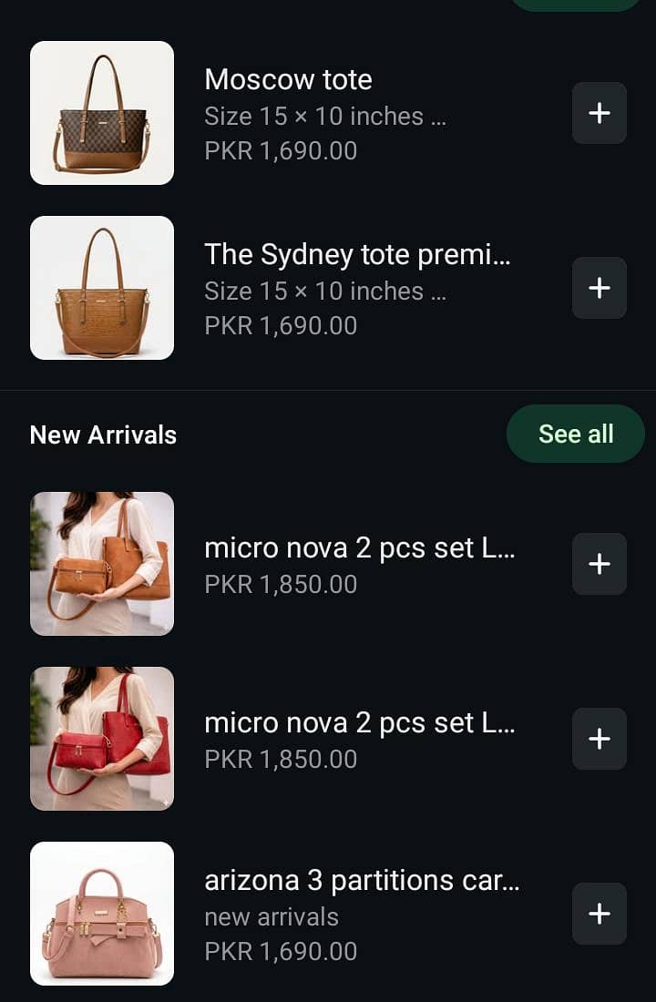 Hands bag 6