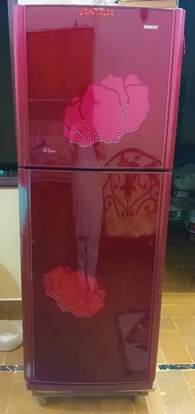 Orient fridge