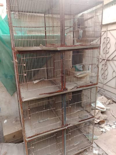 pigeon and parrot cage8