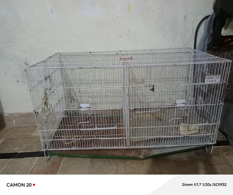 birds pinjara — photo 2