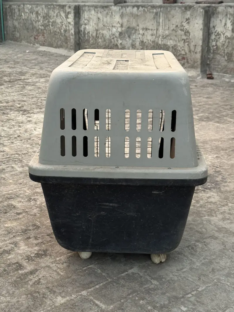 Jetbox — photo 4
