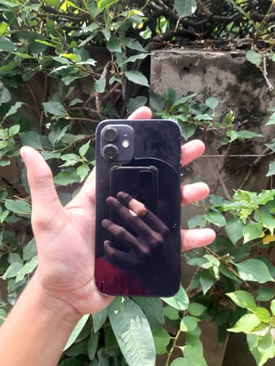 Apple iPhone 12
