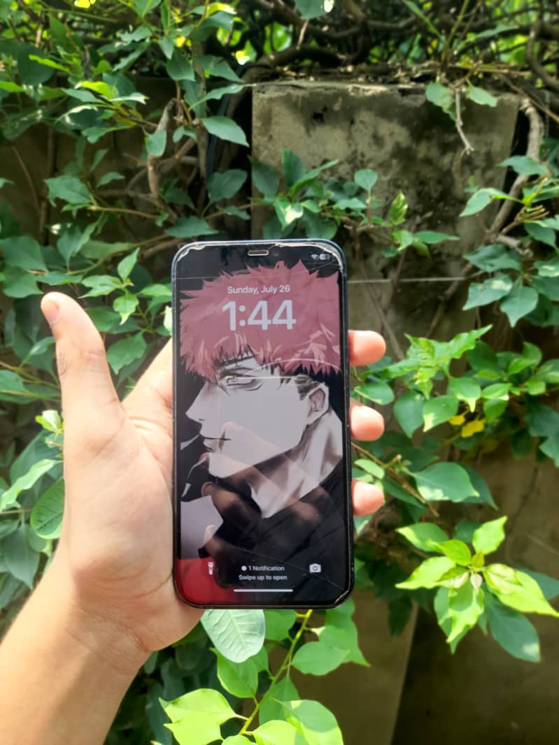 Apple iPhone 12 1