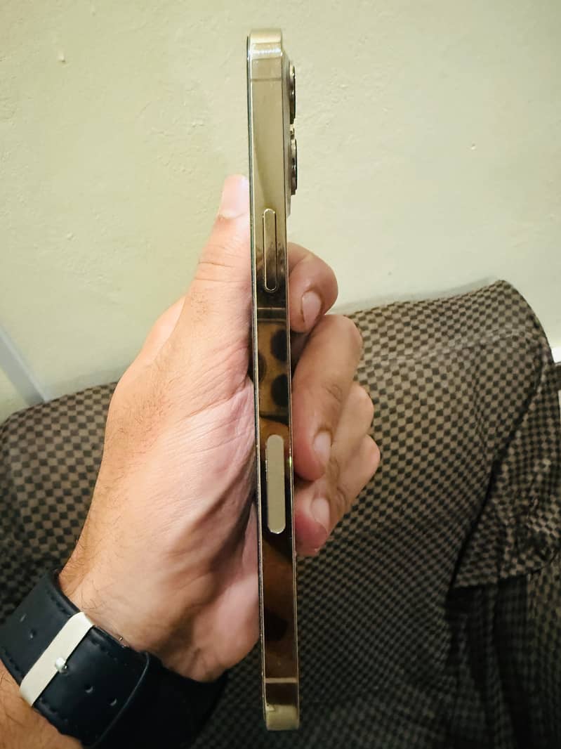 Apple iPhone 12 Pro Max 1