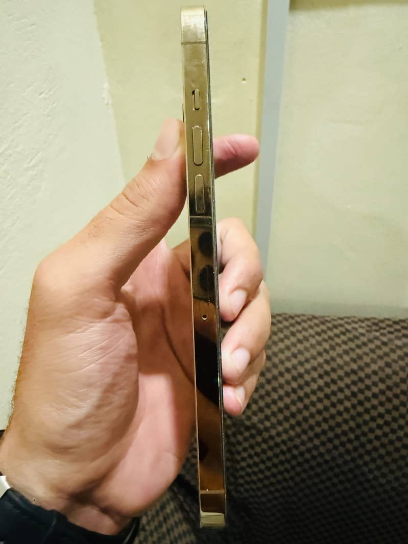 Apple iPhone 12 Pro Max 2