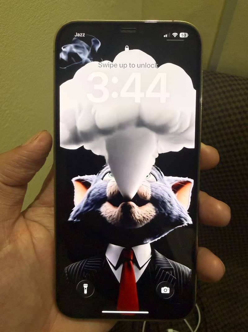 Apple iPhone 12 Pro Max 3