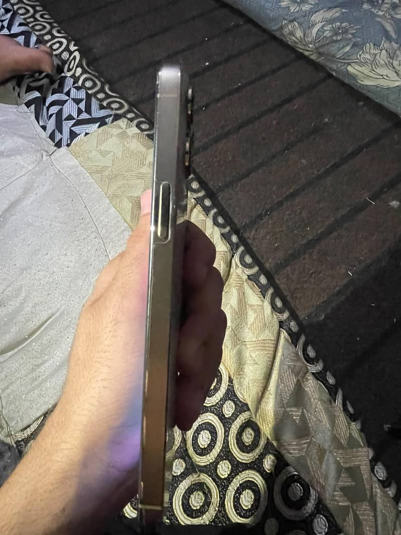 Apple iPhone 13 Pro Max 1