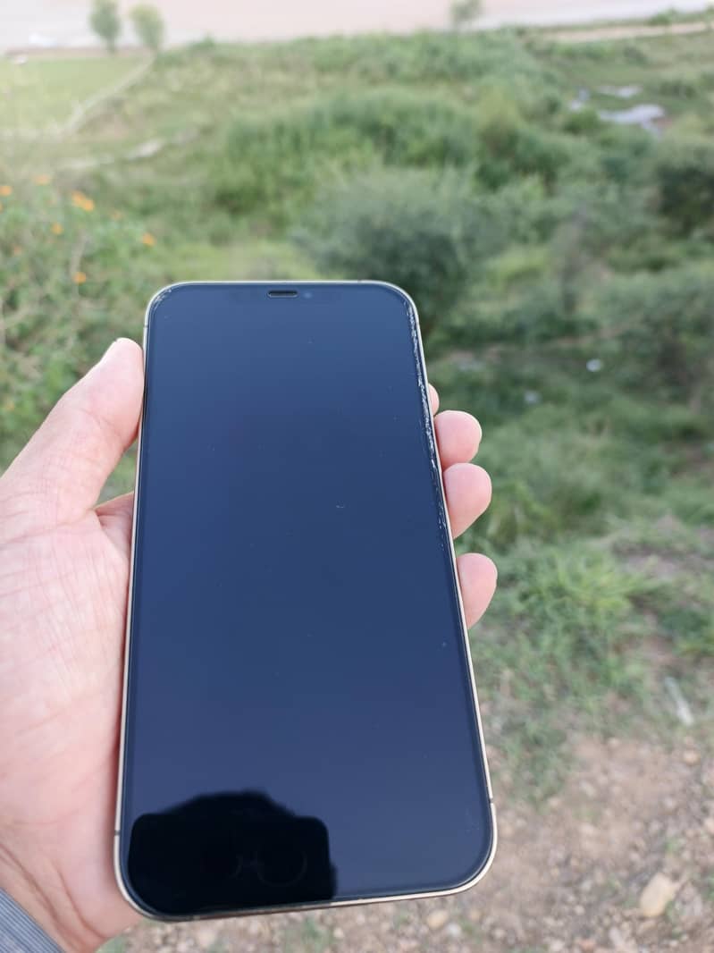 Apple iPhone 12 Pro Max 2