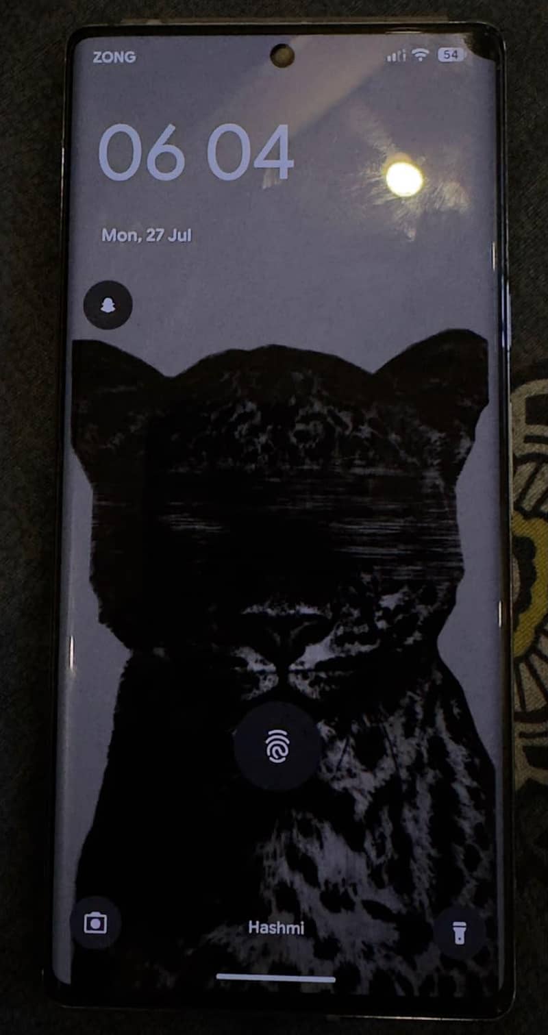 Google Pixel 6 Pro 1