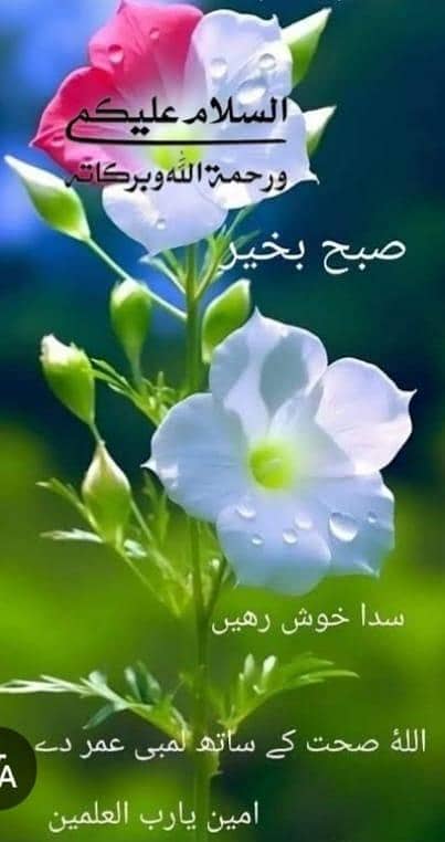 فل ٹائم ملازم نیو مسلم ٹاؤن, لاھور میں درکا ھے. 0