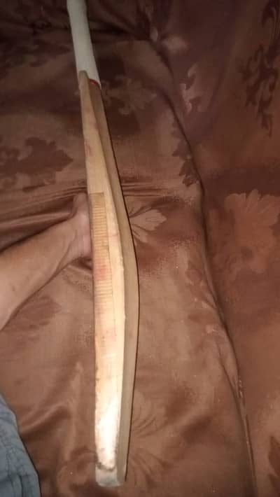 Hard ball bat