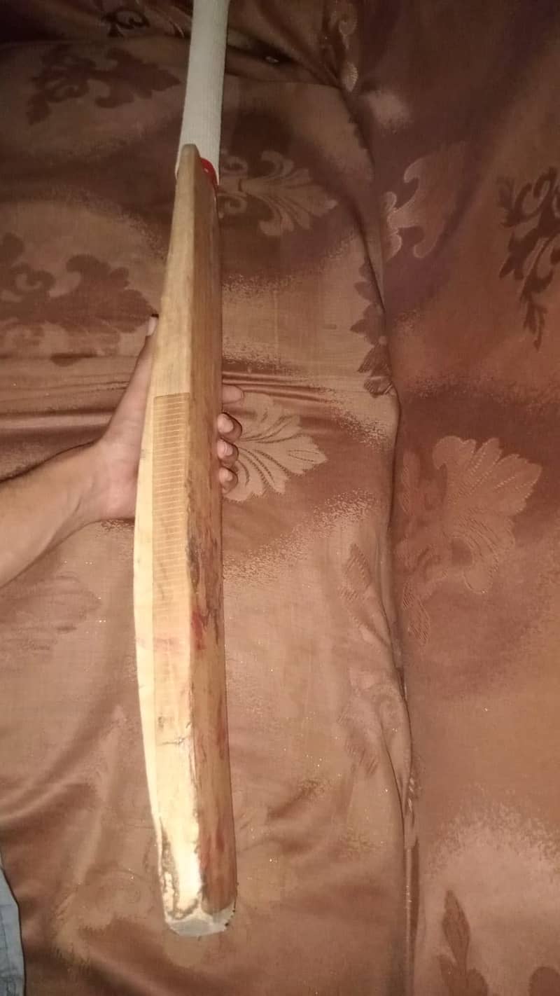 Hard ball bat 1