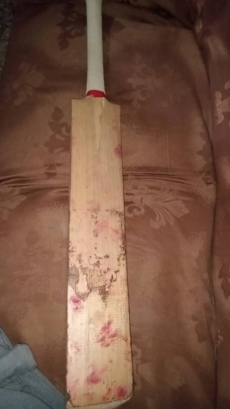 Hard ball bat 2