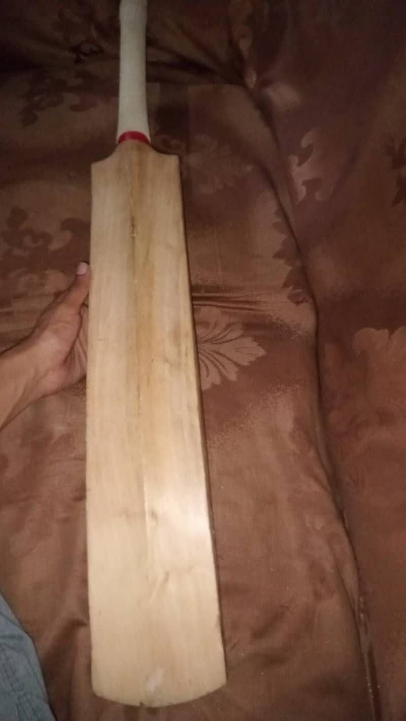 Hard ball bat 3