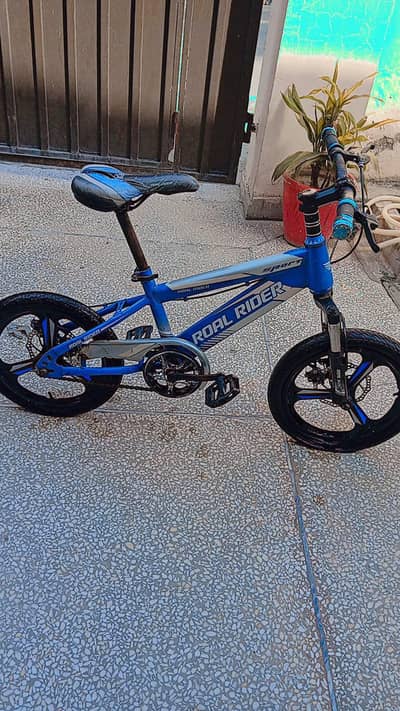 Bicycle For Sale
