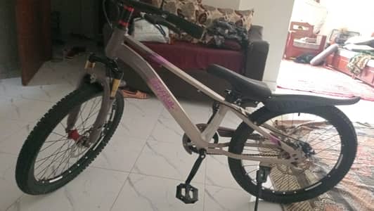 bdf mountain bike size 26