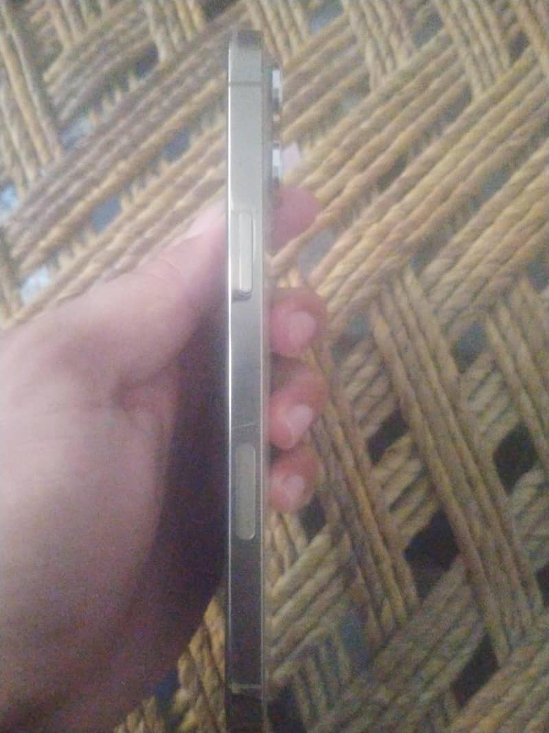 Apple iPhone 13 Pro Max 1