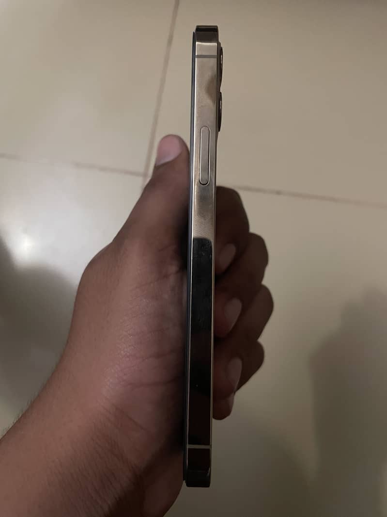 12 pro PTA 1
