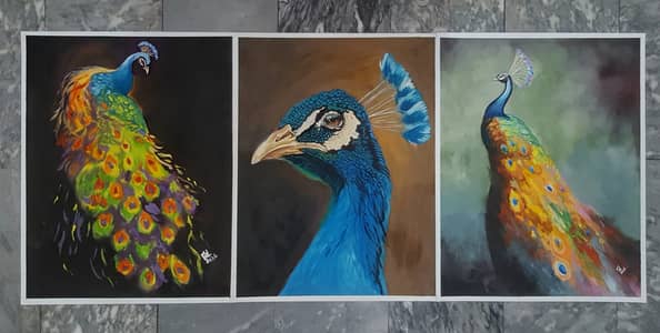 Oil portraits, sketches, calligraphy (Karachi)