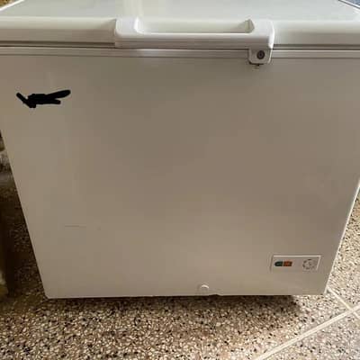 Signal Door Small freezer Low Electricity use good condition