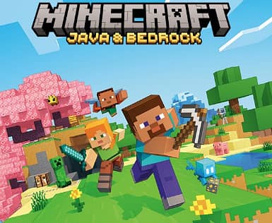 Minecraft java & bedrock (2 in 1)