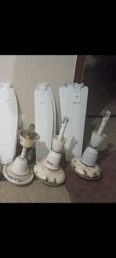Royal ceiling Fans For sale