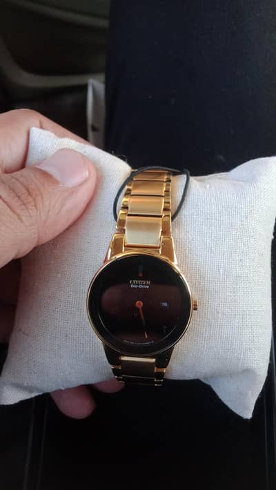 Citizens Watchs male and female