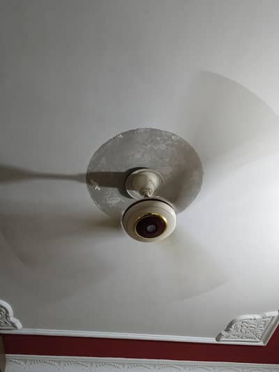 Fan working conditions